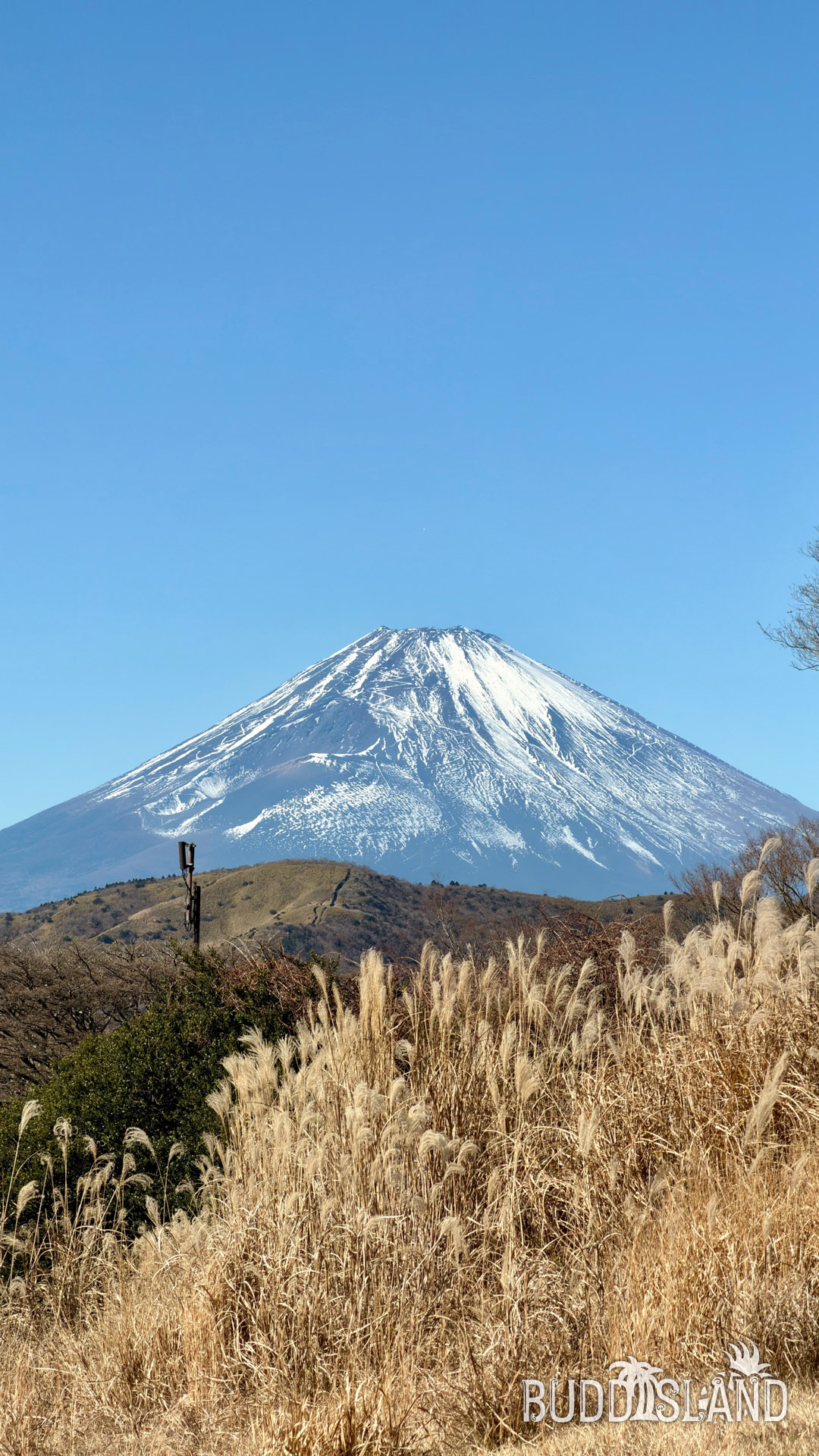 こりゃ快晴 From. KEVIN