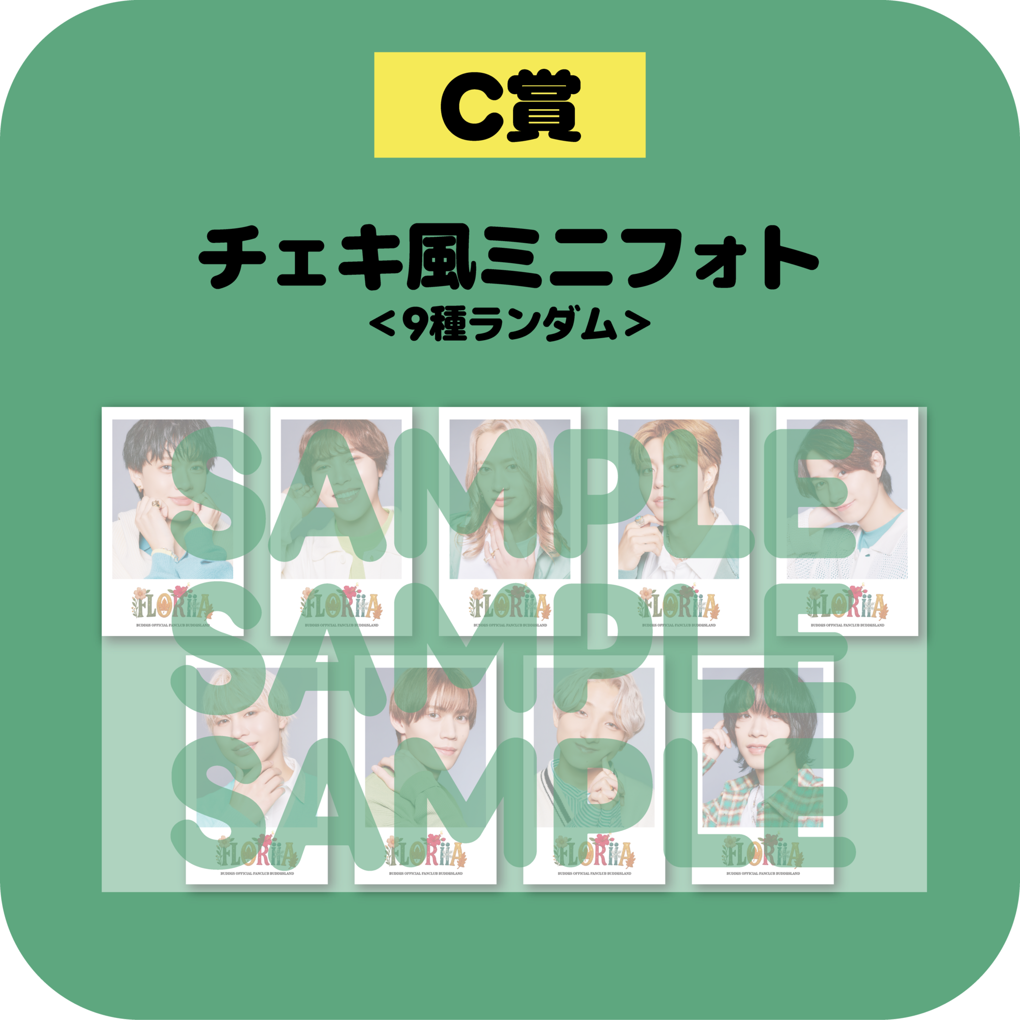BUDDiiS チェキ風ミニフォト コンプリートセット BUDDiiS チェキ風ミニフォト コンプリートセット