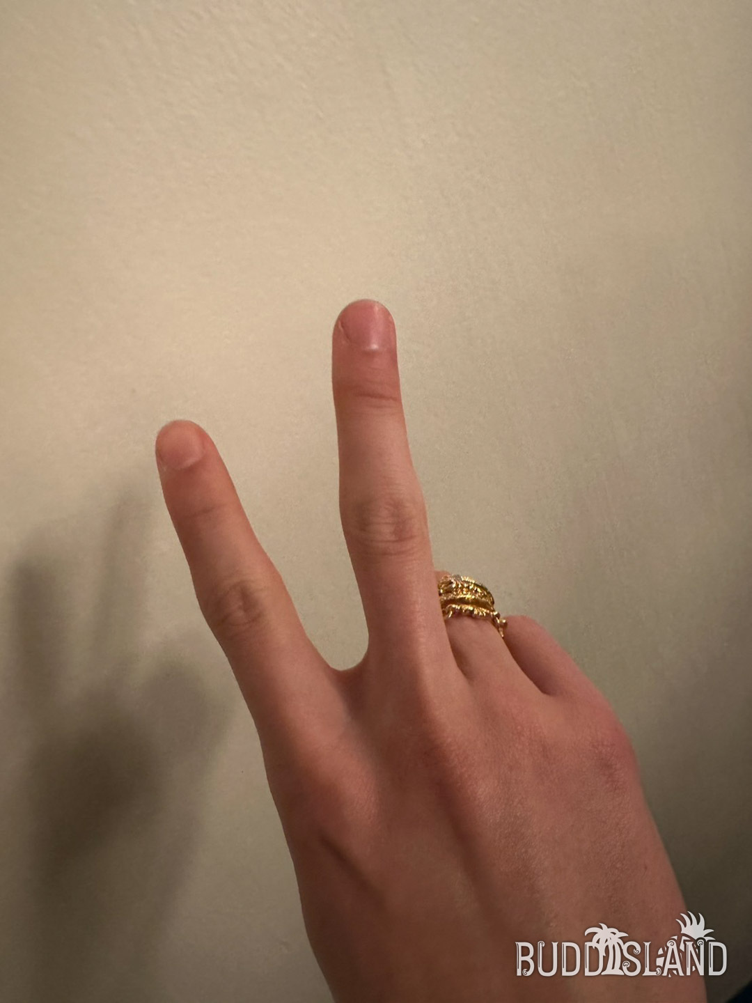 もりもーりー！！！