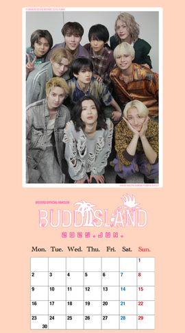 June 2025 - BUDDiiS -